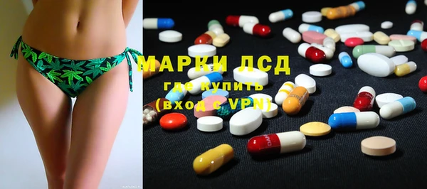крисы Алзамай