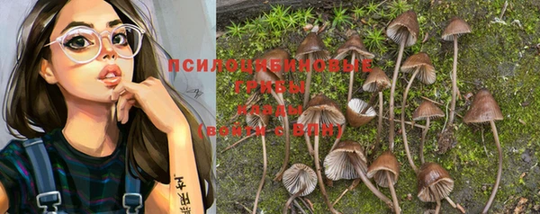 каннабис Алексин
