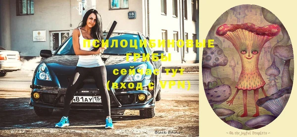 трава Елабуга