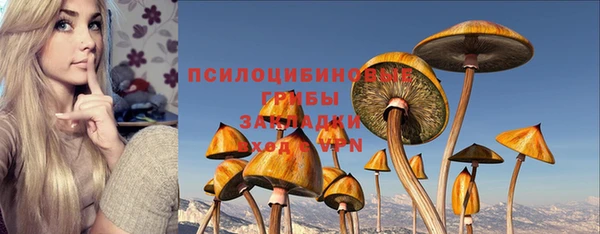 крисы Алзамай